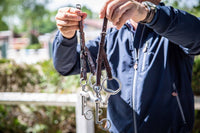 Dy'on Double Cheekpieces - New English Toebehoren hoofdstellen - Maddelin Equestrian Dy on