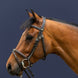 Dy'on Flash Noseband Hoofdstel Working collection Trenshoofdstellen - Maddelin Equestrian Dy on