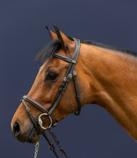 Dy'on Flash Noseband Hoofdstel Working collection Trenshoofdstellen - Maddelin Equestrian Dy on