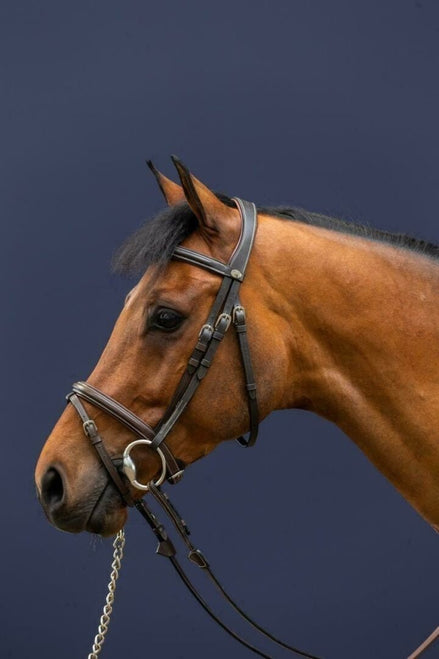 Dy'on Flash Noseband Hoofdstel Working collection Trenshoofdstellen - Maddelin Equestrian Dy on