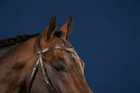 Dy'on Flat Leather V - Shaped Browband Hunter Frontriemen - Maddelin Equestrian Dy on