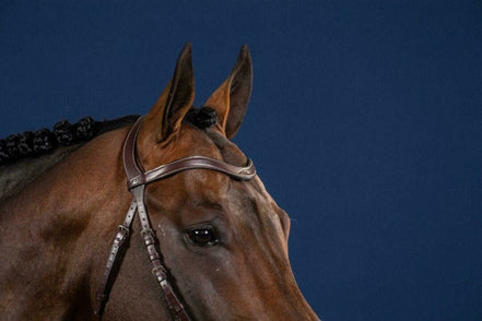 Dy'on Flat Leather V - Shaped Browband Hunter Frontriemen - Maddelin Equestrian Dy on