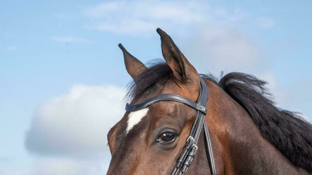 Dy'on Flat Leder V - Shaped Frontriem - New English Frontriemen - Maddelin Equestrian Dy on