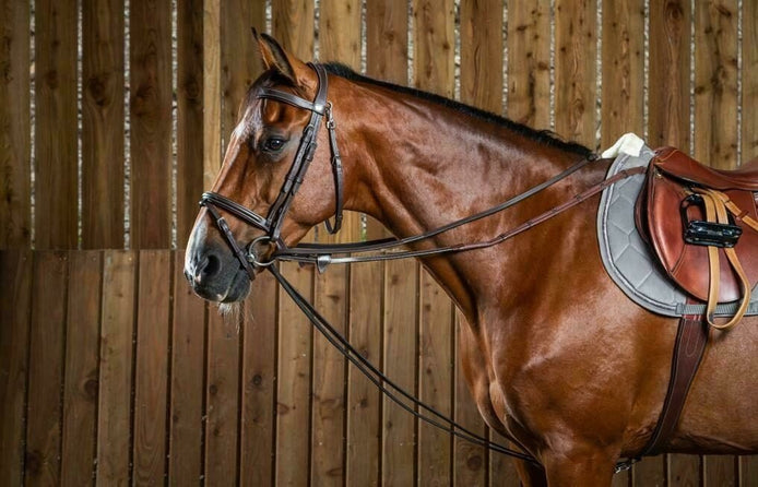 Dy'on Full Leather Draw Reins 1/2 (13mm) Working Coll. Hulpteugels - Maddelin Equestrian Dy on