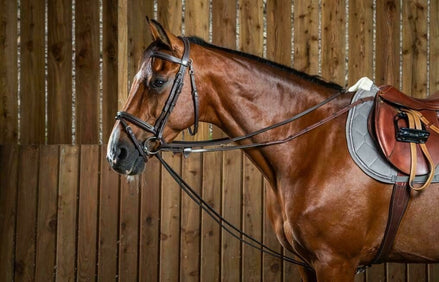 Dy'on Full Leather Draw Reins 1/2 (13mm) Working Coll. Hulpteugels - Maddelin Equestrian Dy on