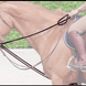 Dy'on Full Leather Draw Reins 1/2 - D Collection Hulpteugels - Maddelin Equestrian Dy on