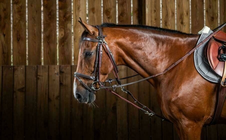 Dy'on Gogue Nylon Ropes Working coll. Hulpteugels - Maddelin Equestrian Dy on