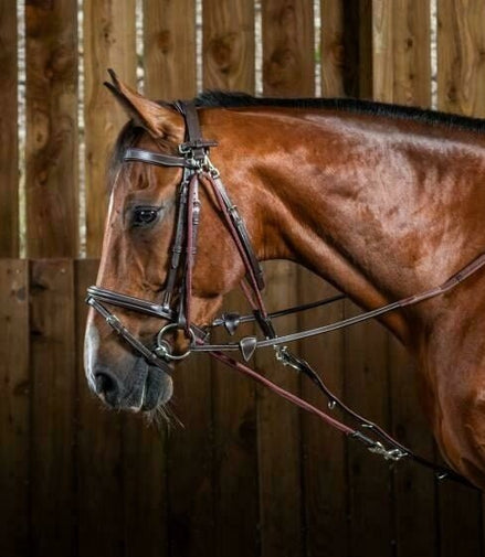 Dy'on Gogue Nylon Ropes Working coll. Hulpteugels - Maddelin Equestrian Dy on