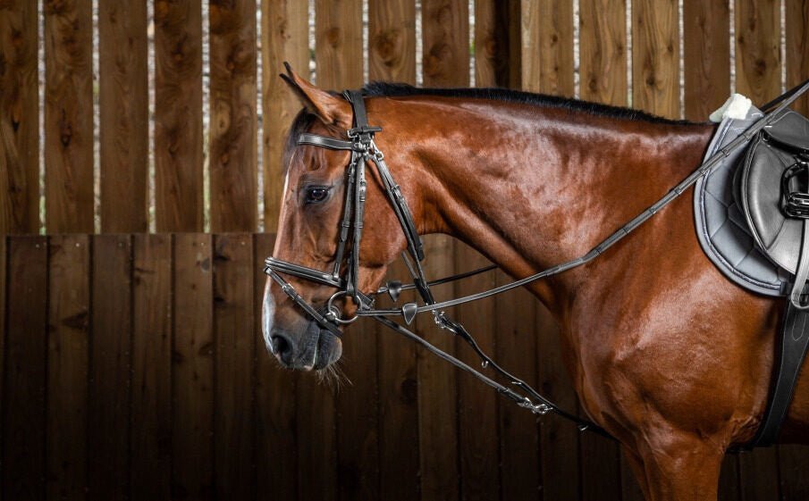 Dy'on Gogue Nylon Ropes Working coll. Hulpteugels - Maddelin Equestrian Dy on