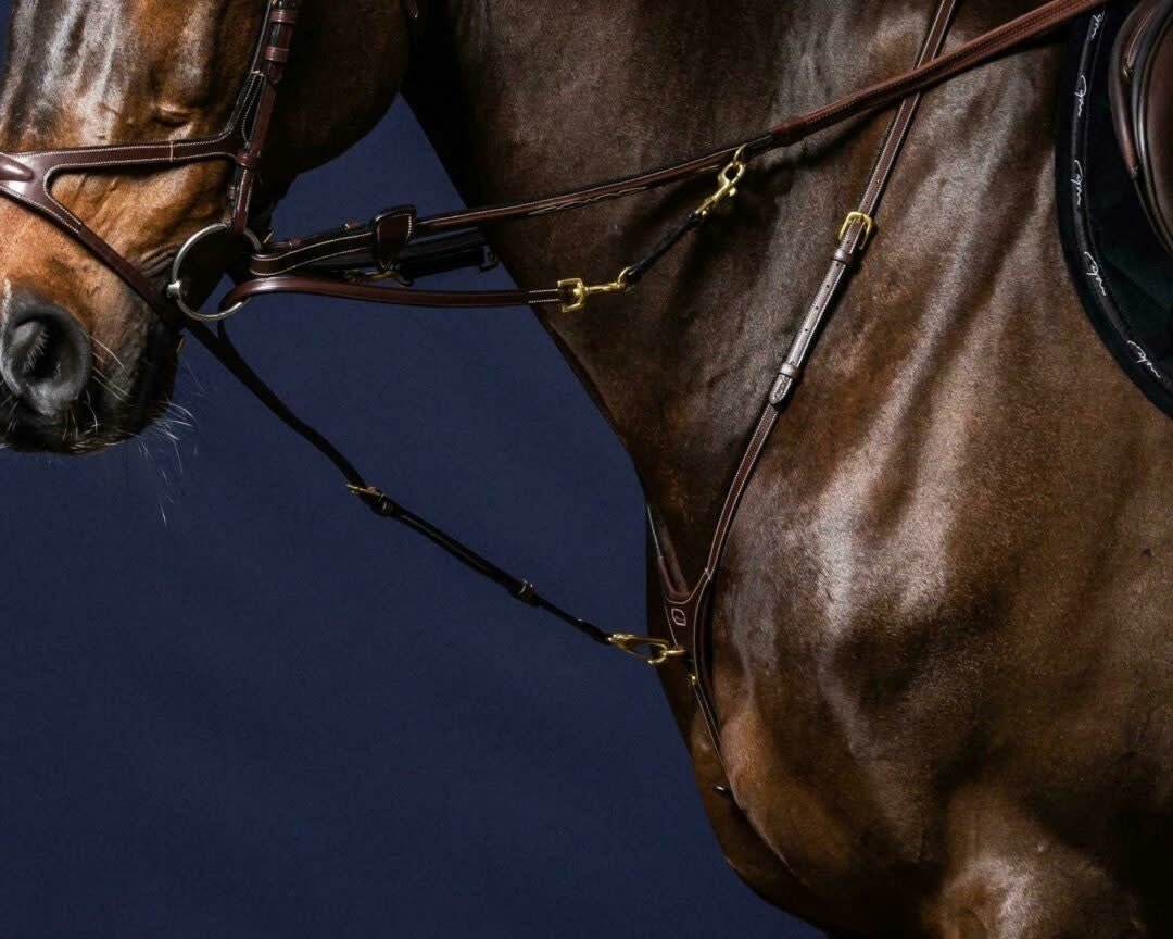Dy'on Howlett Attachment Borstriemen en martingalen - Maddelin Equestrian Dy on