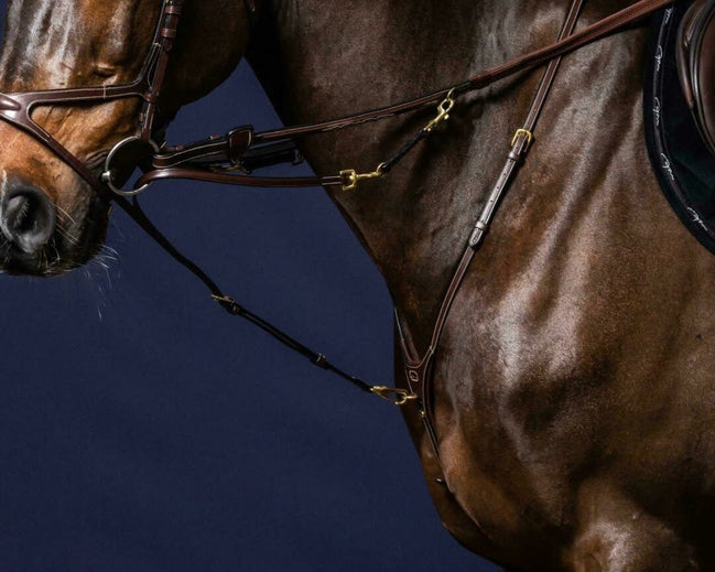 Dy'on Howlett Attachment Borstriemen en martingalen - Maddelin Equestrian Dy on
