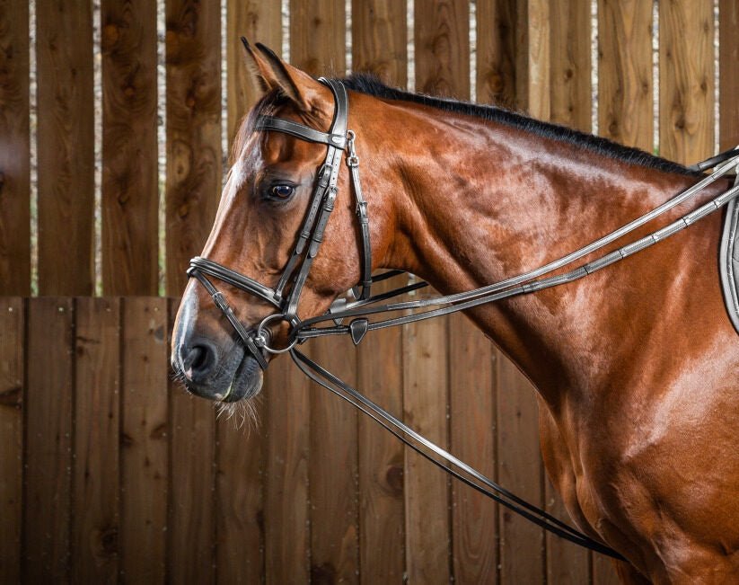 Dy'on Hunter Sloft Teugel 1/2 Hulpteugels - Maddelin Equestrian Dy on