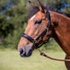 Dy'on Leather Head Collar D - Collection Lederen - Maddelin Equestrian Dy on