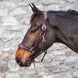 Dy'on Leather Head Collar D - Collection Lederen - Maddelin Equestrian Dy on