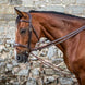 Dy'on Leather/Nylon Draw Reins 5/8 - D Collection Hulpteugels - Maddelin Equestrian Dy on