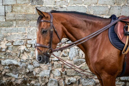 Dy'on Leather/Nylon Draw Reins 5/8 - D Collection Hulpteugels - Maddelin Equestrian Dy on