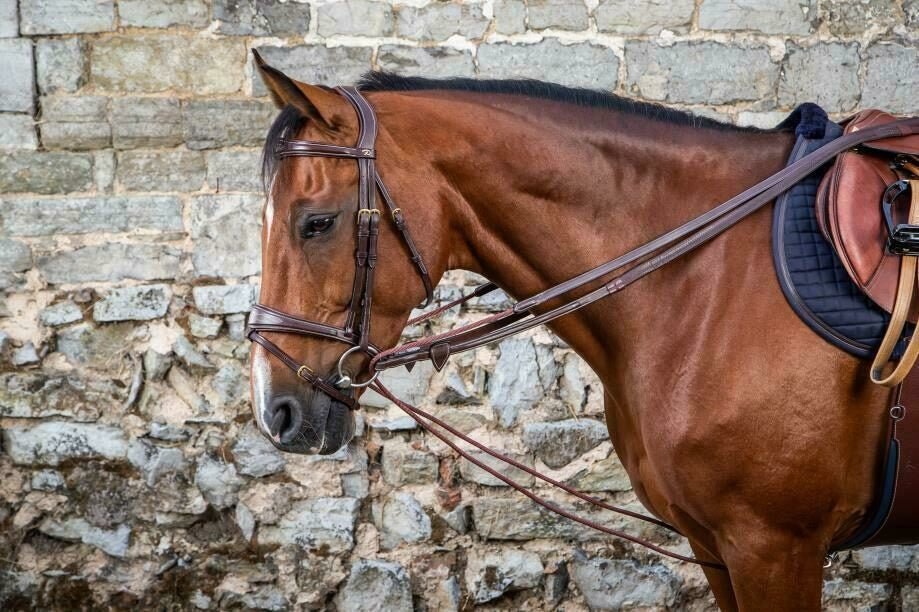 Dy'on Leather/Nylon Draw Reins 5/8 - D Collection Hulpteugels - Maddelin Equestrian Dy on