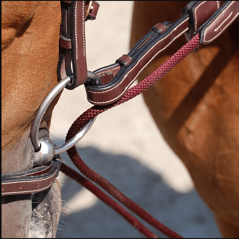 Dy'on Leather/Nylon Draw Reins 5/8 - D Collection Hulpteugels - Maddelin Equestrian Dy on
