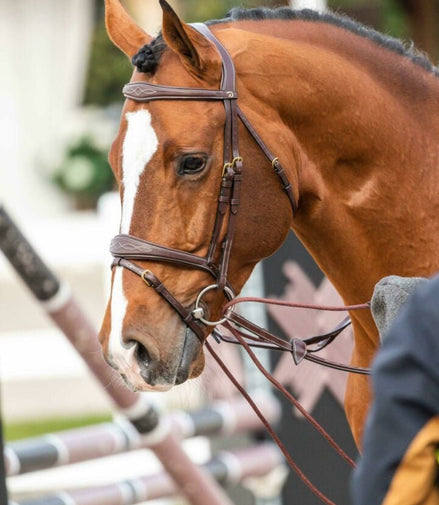 Dy'on Leather/Nylon Draw Reins 5/8 - D Collection Hulpteugels - Maddelin Equestrian Dy on