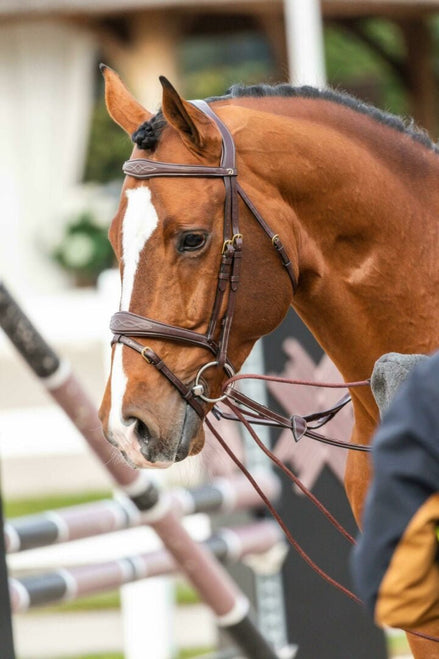 Dy'on Leather/Nylon Draw Reins 5/8 - D Collection Hulpteugels - Maddelin Equestrian Dy on