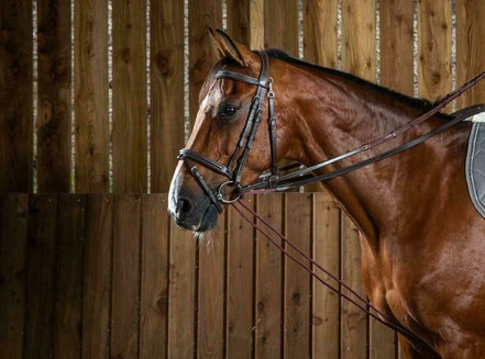 Dy'on Leather/Nylon Slof Teugels 5/8 (13mm) - Working Hulpteugels - Maddelin Equestrian Dy on