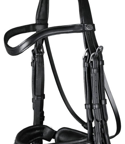 Dy'on Matte Large Crank Noseband Stang & Trens Working Stang & Trens - Maddelin Equestrian Dy on