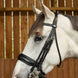 Dy'on Matte Large Crank Noseband Stang & Trens Working Stang & Trens - Maddelin Equestrian Dy on