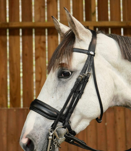 Dy'on Matte Large Crank Noseband Stang & Trens Working Stang & Trens - Maddelin Equestrian Dy on