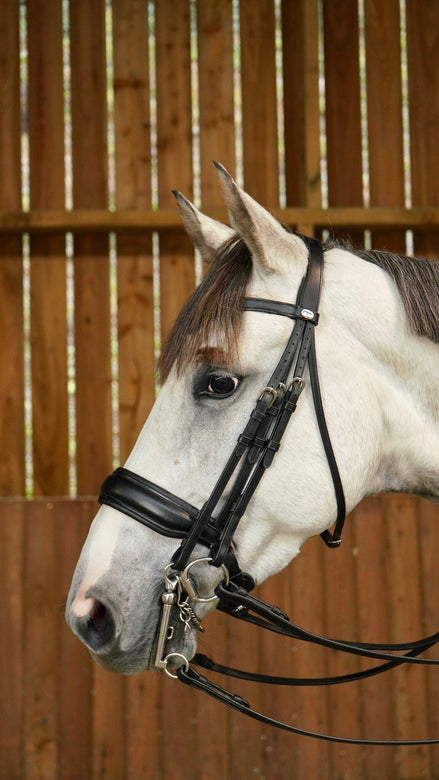 Dy'on Matte Large Crank Noseband Stang & Trens Working Stang & Trens - Maddelin Equestrian Dy on