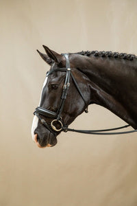 Dy'on Matte Large Crank Noseband With Flash - Working Trenshoofdstellen - Maddelin Equestrian Dy on