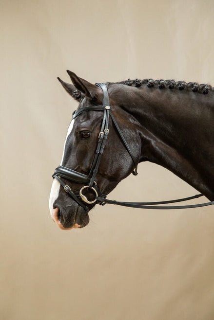 Dy'on Matte Large Crank Noseband With Flash - Working Trenshoofdstellen - Maddelin Equestrian Dy on