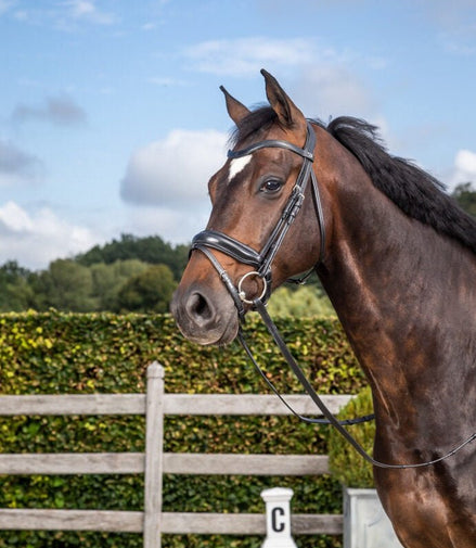 Dy'on Medium Crank Trenshoofdstel met Aansnoerneusriem Trenshoofdstellen - Maddelin Equestrian Dy on
