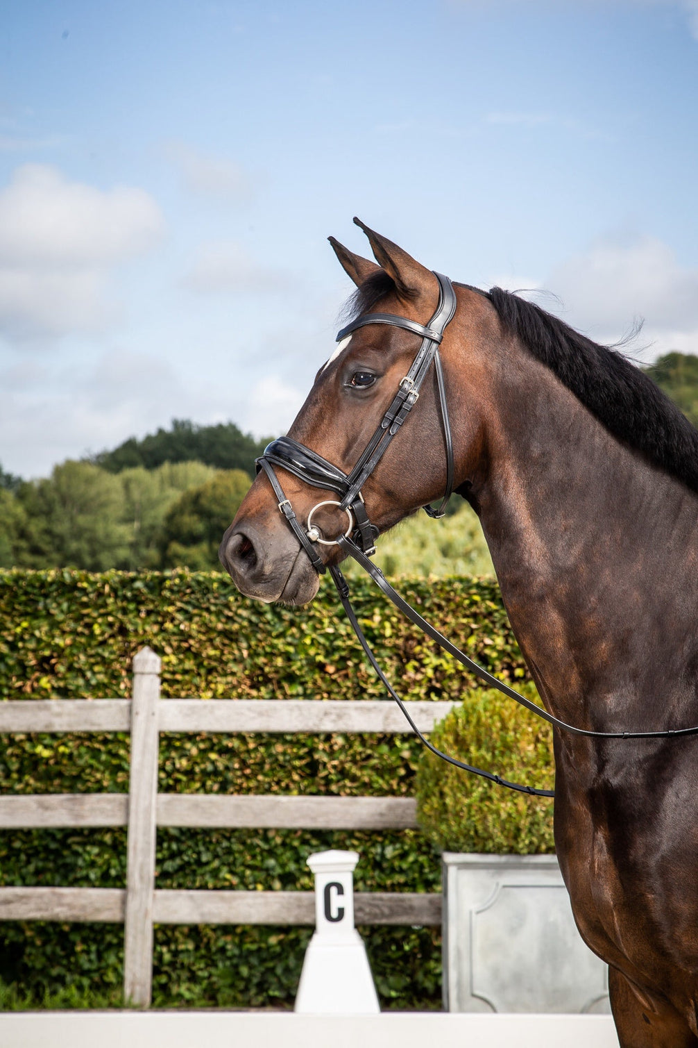 Dy'on Patent Large Crank Noseband w Flash - New English Trenshoofdstellen - Maddelin Equestrian Dy on