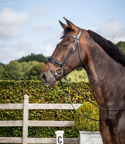 Dy'on Patent Large Crank Noseband w Flash - New English Trenshoofdstellen - Maddelin Equestrian Dy on