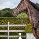 Dy'on Patent Large Crank Noseband White pad. & Flash - New English Trenshoofdstellen - Maddelin Equestrian Dy on