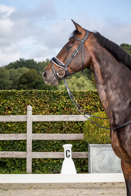 Dy'on Patent Large Crank Noseband White pad. & Flash - New English Trenshoofdstellen - Maddelin Equestrian Dy on
