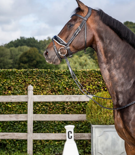 Dy'on Patent Large Crank Noseband White pad. & Flash - New English Trenshoofdstellen - Maddelin Equestrian Dy on