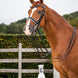 Dy'on Patent Large Crank Noseband White Pad. - New English Stang & Trens - Maddelin Equestrian Dy on