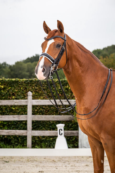 Dy'on Patent Large Crank Noseband White Pad. - New English Stang & Trens - Maddelin Equestrian Dy on