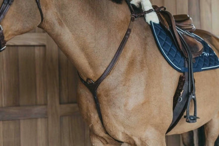 Dy'on Plaited Bridge breastplate Borstriemen en martingalen - Maddelin Equestrian Dy on