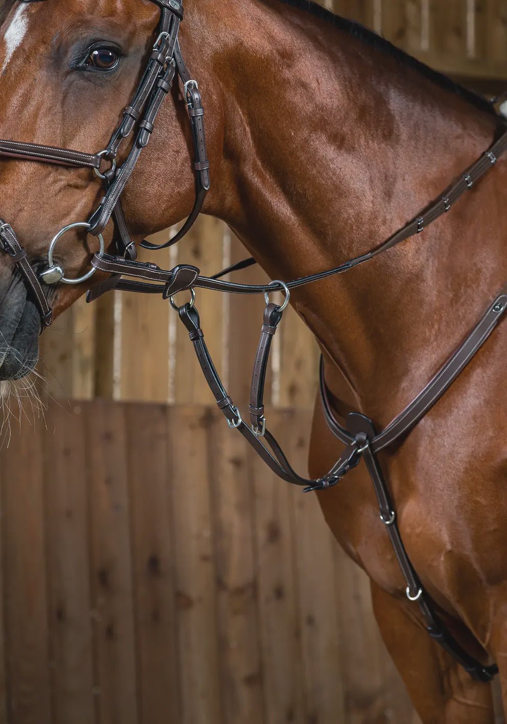 Dy'on Running Martingale Attachment Working Collection Borstriemen en martingalen - Maddelin Equestrian Dy on