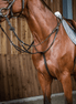 Dy'on Running Martingale - Working Collection Borstriemen en martingalen - Maddelin Equestrian Dy on