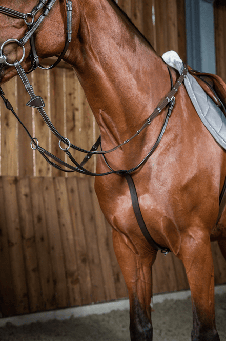 Dy'on Running Martingale - Working Collection Borstriemen en martingalen - Maddelin Equestrian Dy on