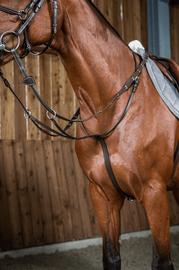 Dy'on Running Martingale - Working Collection Borstriemen en martingalen - Maddelin Equestrian Dy on