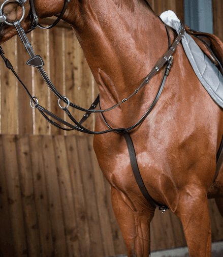 Dy'on Running Martingale - Working Collection Borstriemen en martingalen - Maddelin Equestrian Dy on