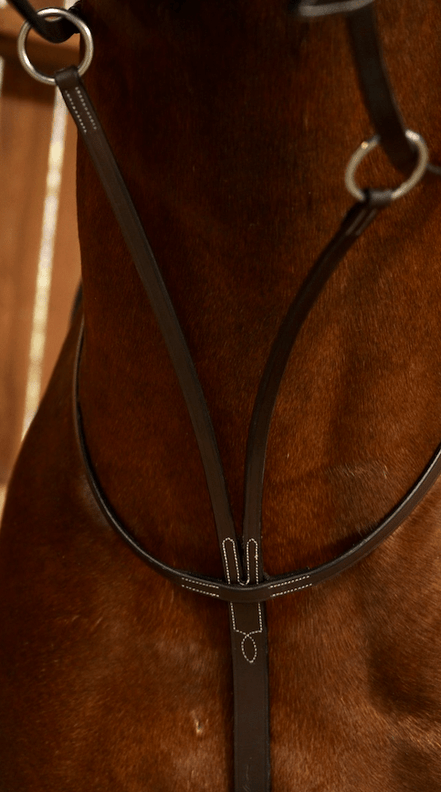 Dy'on Running Martingale - Working Collection Borstriemen en martingalen - Maddelin Equestrian Dy on