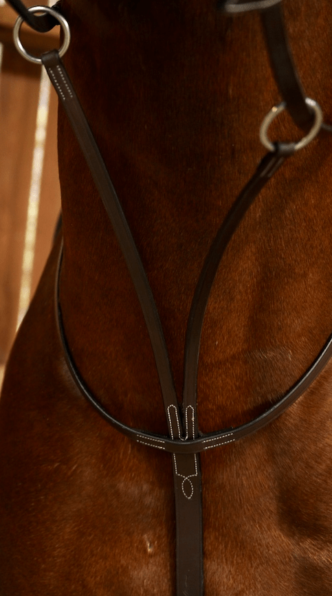 Dy'on Running Martingale - Working Collection Borstriemen en martingalen - Maddelin Equestrian Dy on