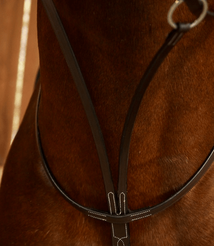 Dy'on Running Martingale - Working Collection Borstriemen en martingalen - Maddelin Equestrian Dy on