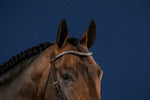 Dy'on Silver Clincher V - Shaped Browband Hunter Frontriemen - Maddelin Equestrian Dy on