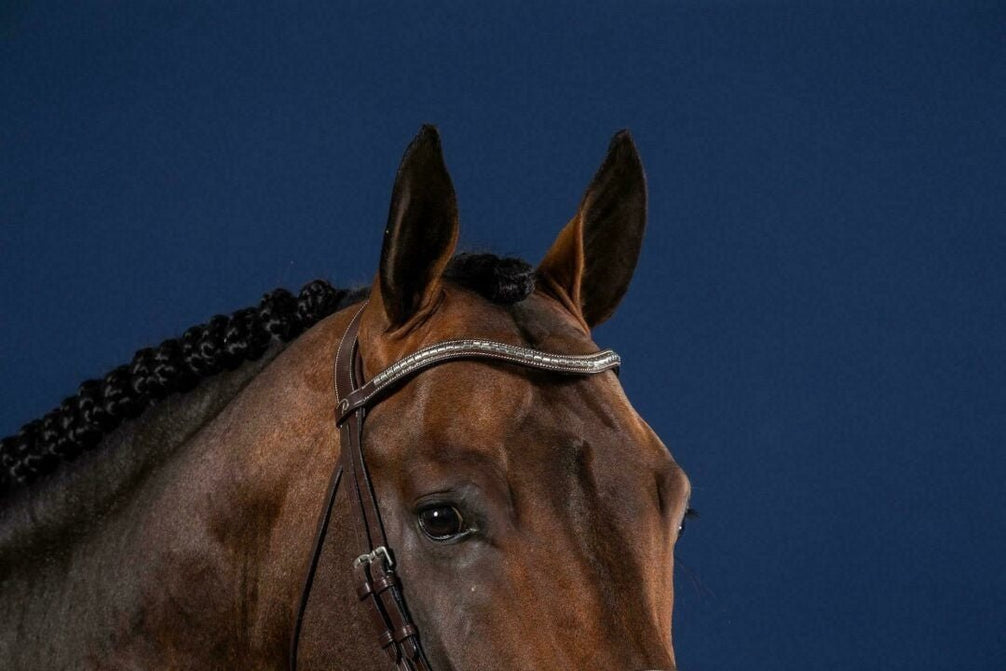 Dy'on Silver Clincher V - Shaped Browband Hunter Frontriemen - Maddelin Equestrian Dy on